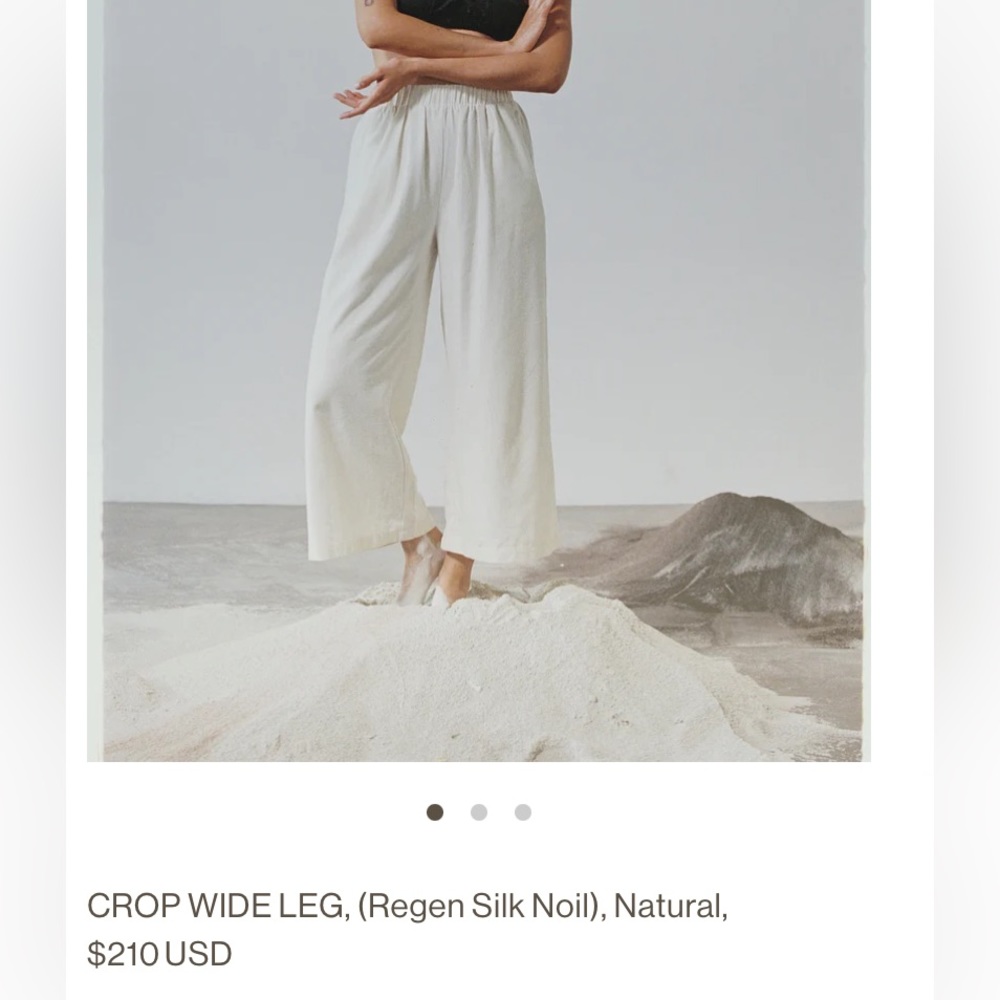Ozma of California crop wide leg pant in silk noil